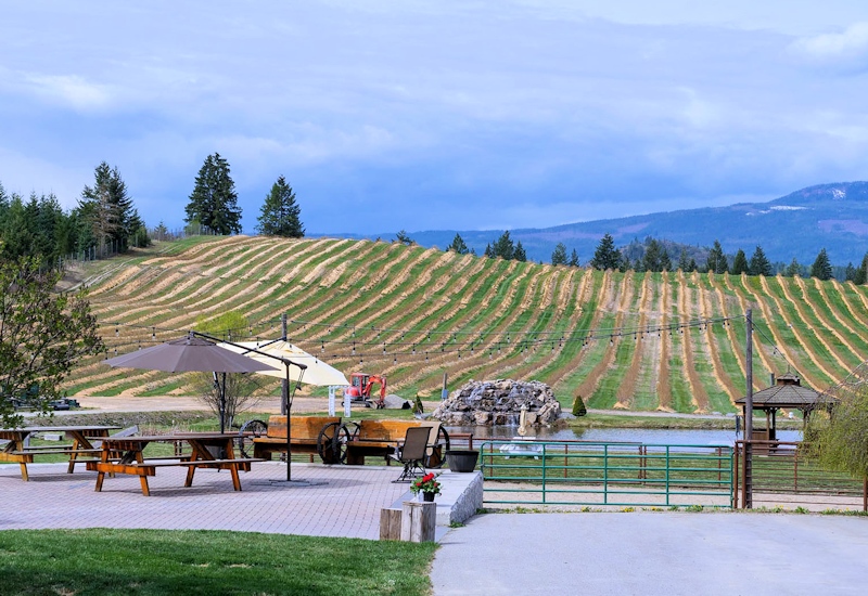 Baccata Ridge Winery 
